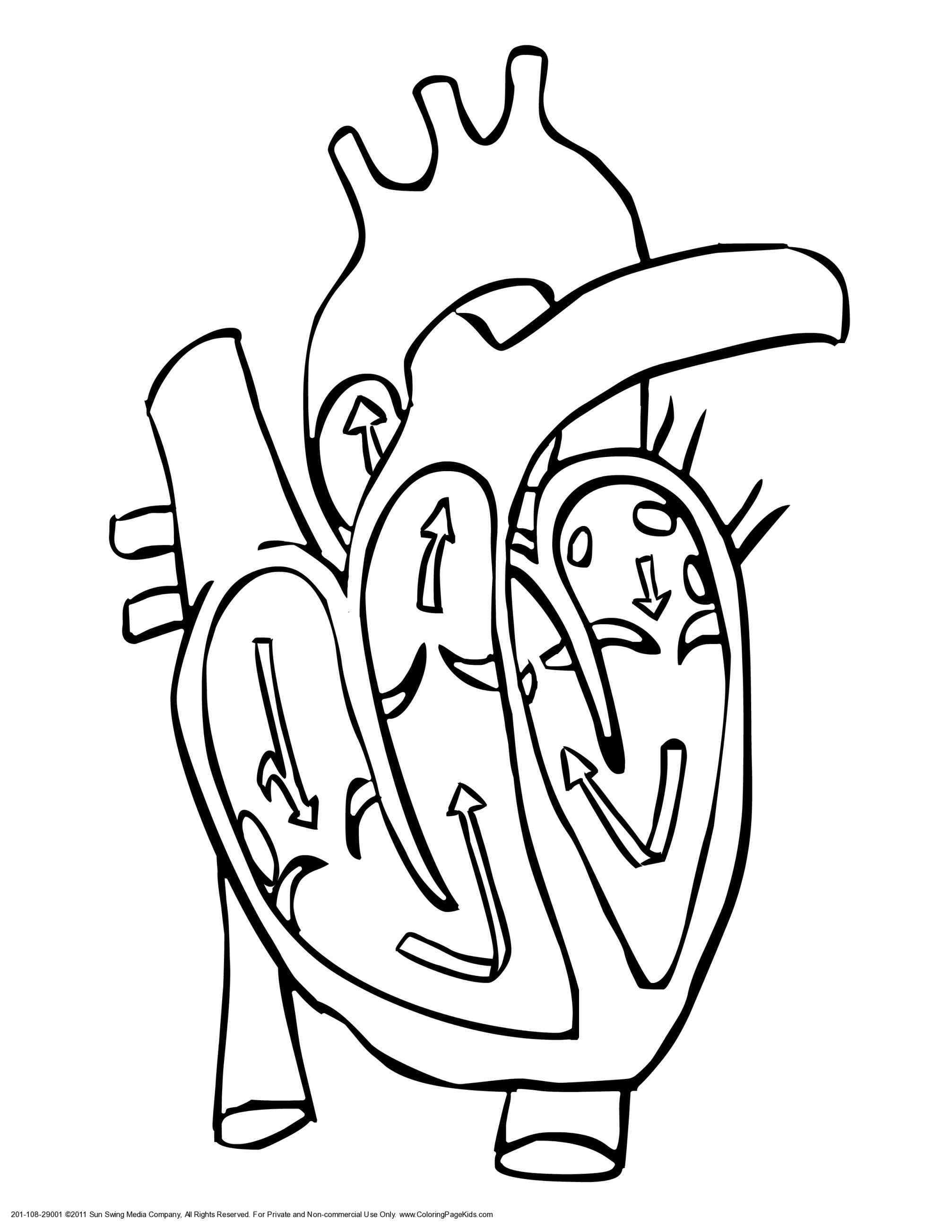 2014x2607 Broken Heart Coloring Pages For Adults Your Meme Source