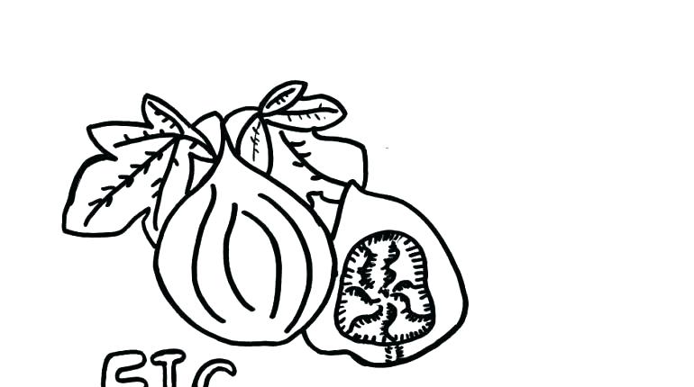 770x430 Top Rated Broncos Coloring Pages Pictures Free Super Bowl Top