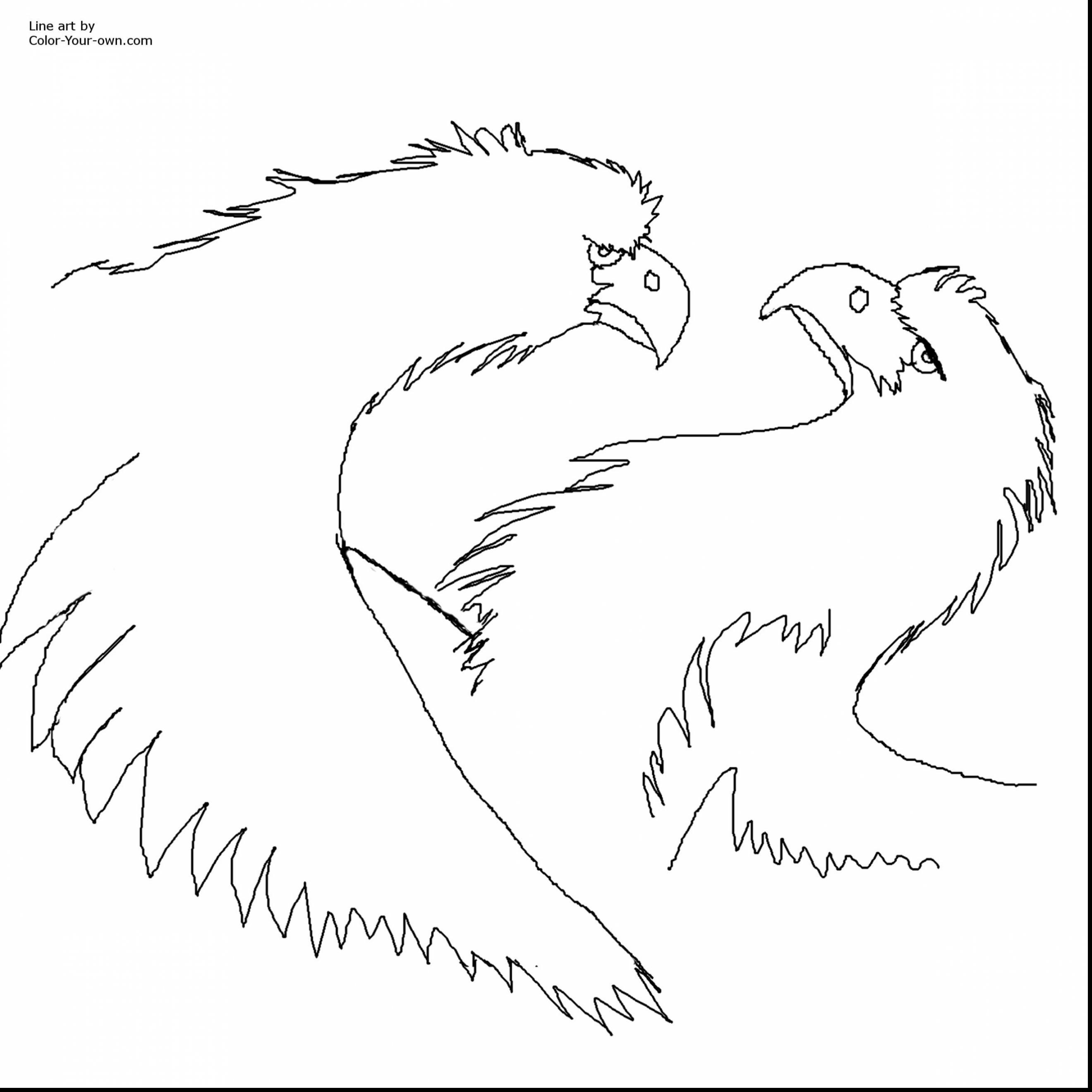 2640x2640 New Denver Broncos Logo Coloring Page
