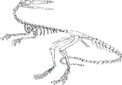 476x333 Brontosaurus Coloring Page Cartoon Brontosaurus Dinosaur Coloring