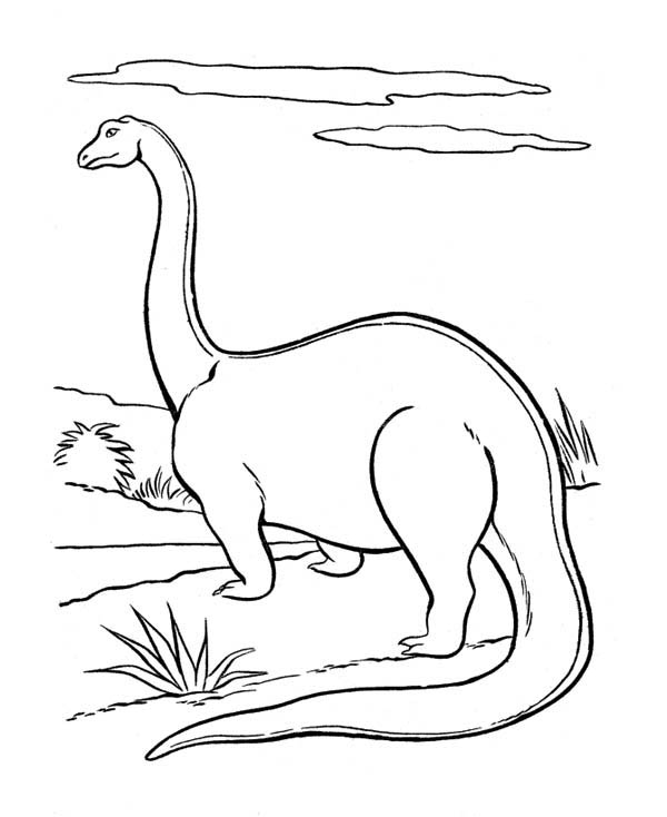 600x734 Dinosaur Brontosaurus Coloring Page