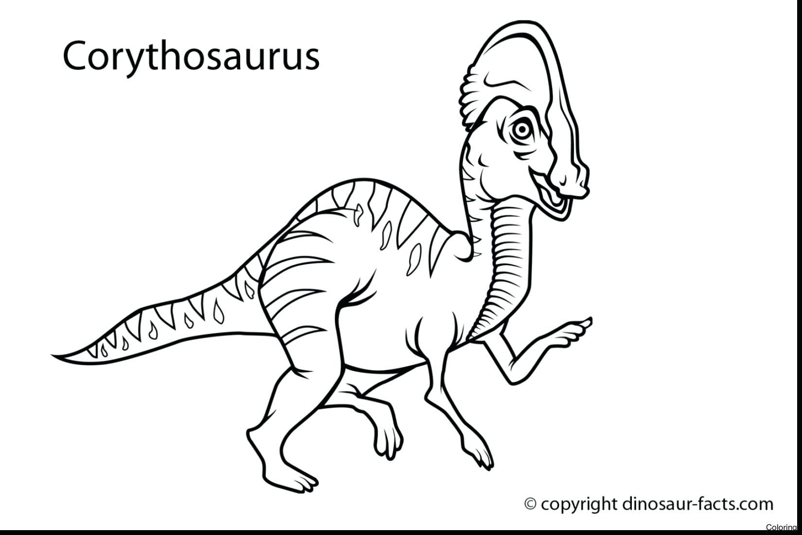 1650x1100 Informative Brontosaurus Coloring Page Awesome