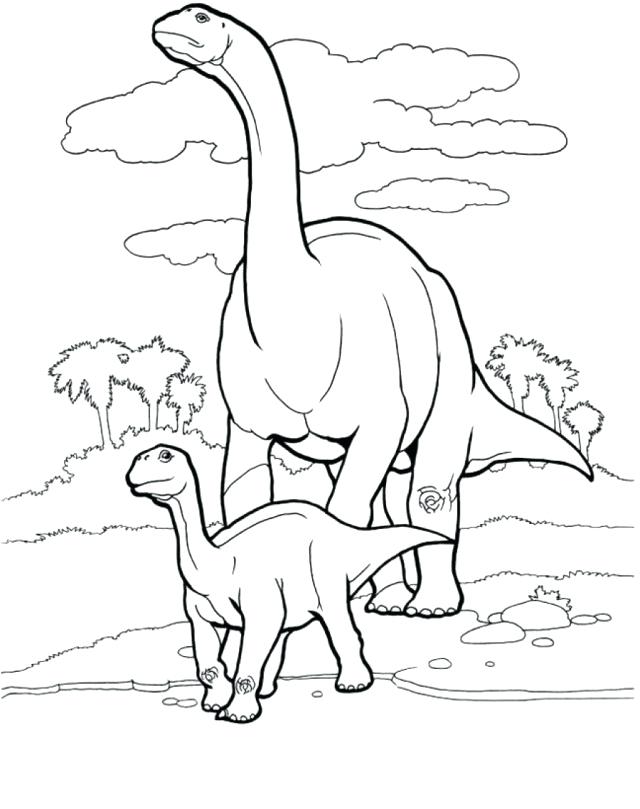 640x809 Newt Coloring Page Night Fury Pages The Friendly Ghost Flying