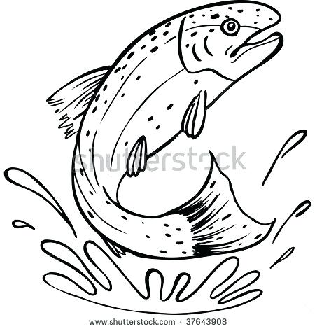 450x470 Brook Trout Pen And Ink Vinyl Decal By Brook Trout Pen And Ink