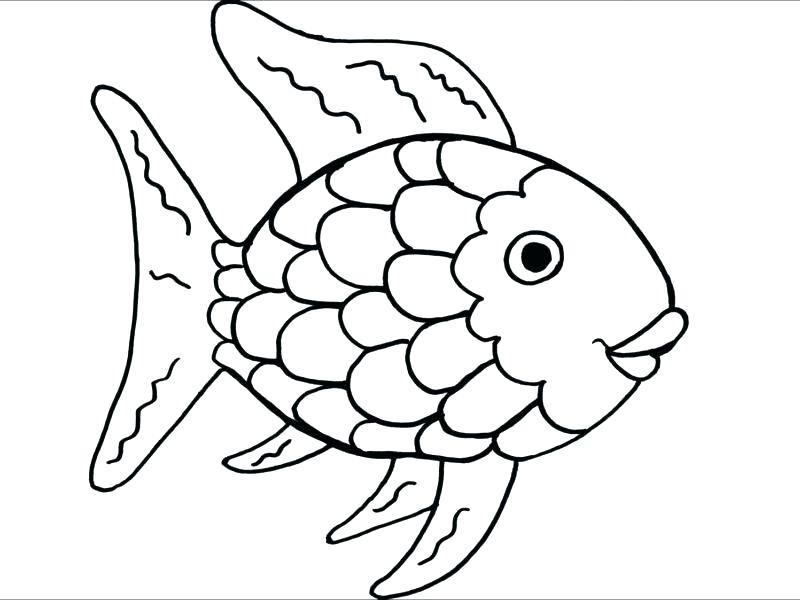 800x600 Rainbow Trout Coloring Page Coloring Page Of A Rainbow Pretty
