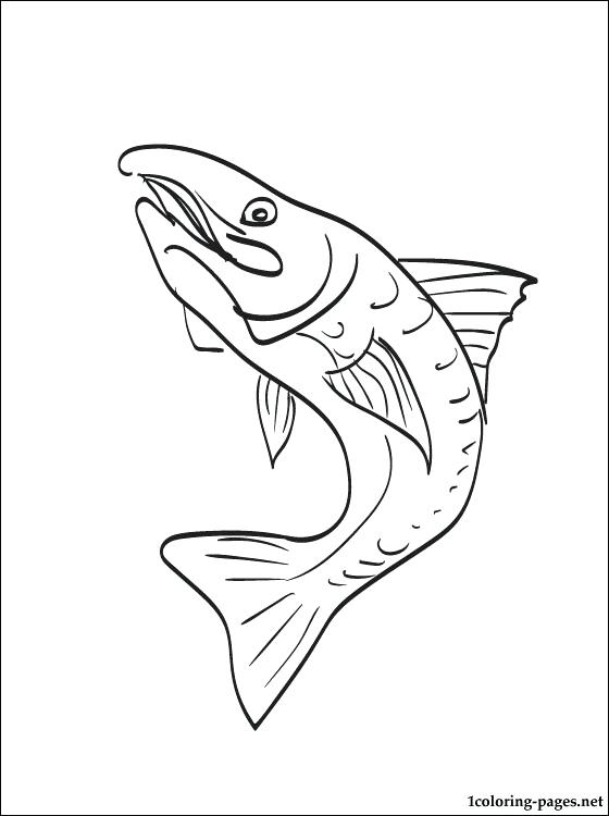 560x750 Brook Trout Coloring Page Coloring Page Trout Coloring Pages