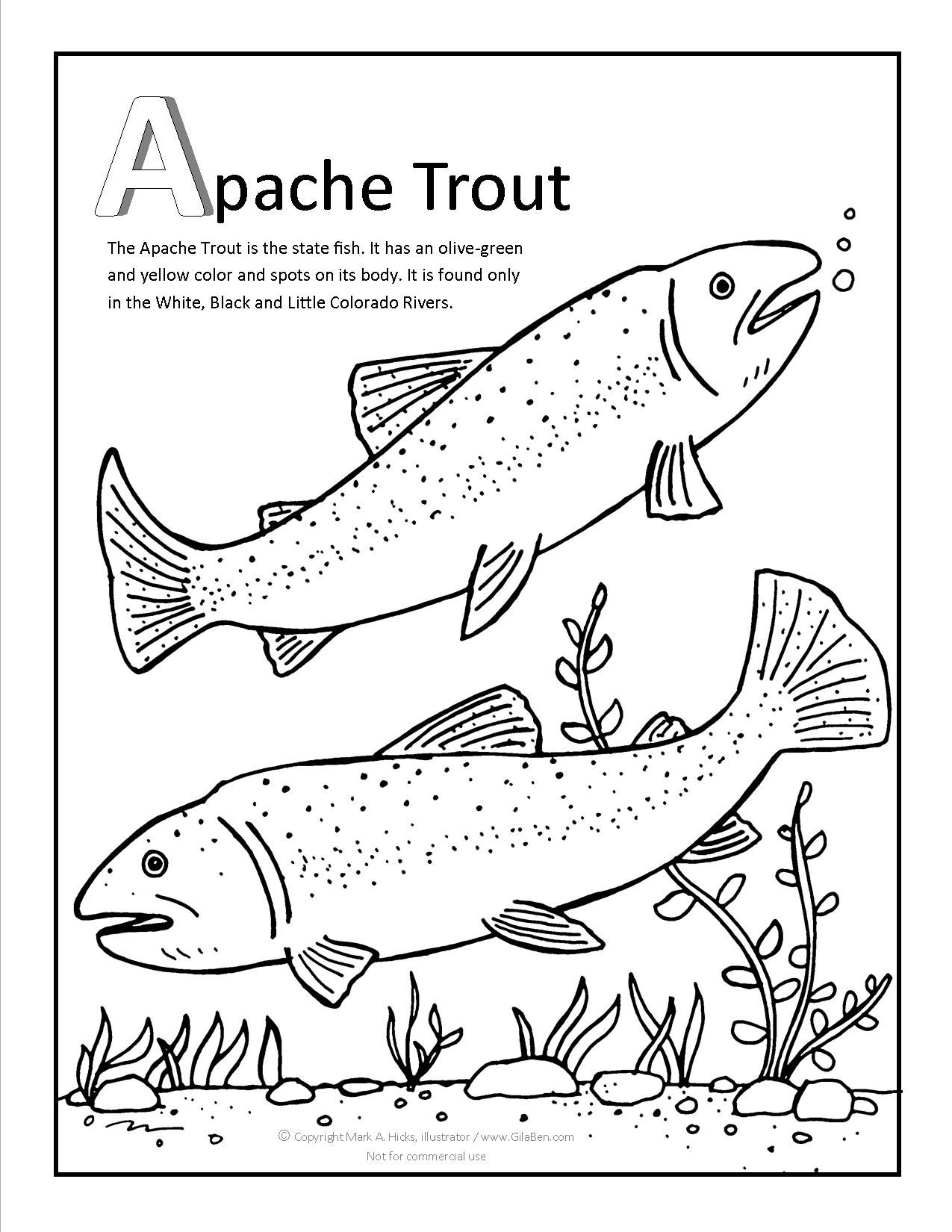 1275x1650 Trout Coloring Page Get Bubbles