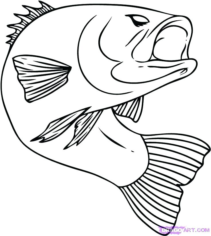 736x823 Brook Trout Coloring Page Coloring Pages Disney Easy