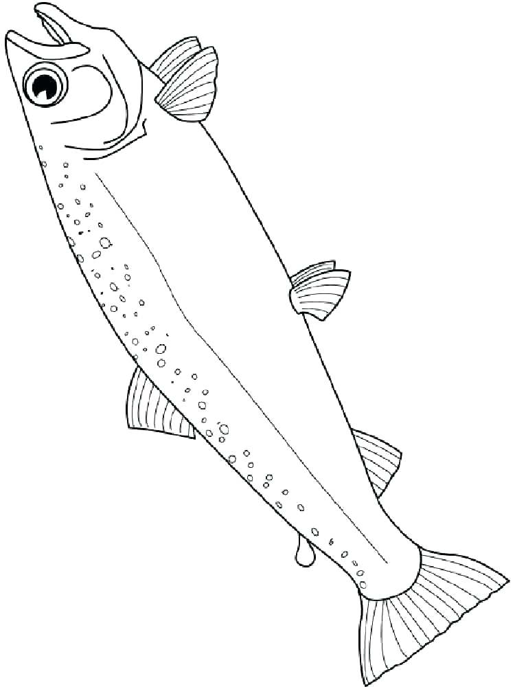 750x1000 Salmon Coloring Pages