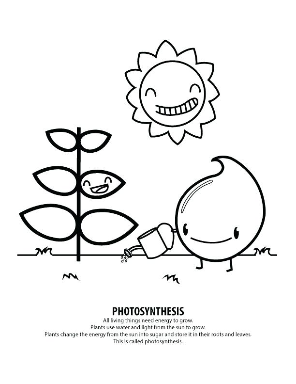 612x792 Brooklyn Bridge Coloring Page Click The Bridge Golden Gate