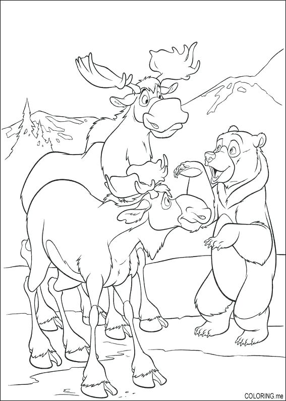 567x794 Brother Bear Coloring Pages Brother Bear 2 Coloring Page Disney