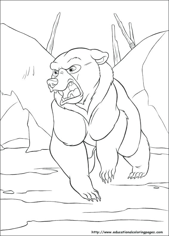 567x794 Brother Bear 2 Also Brother Bear 2 Brother Bear Koda Coloring