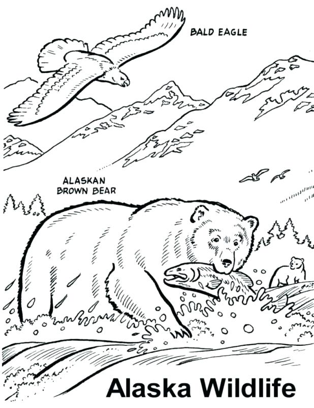 618x801 Coloring Pages Extraordinary Brown Bear Brown Bear Printable Free