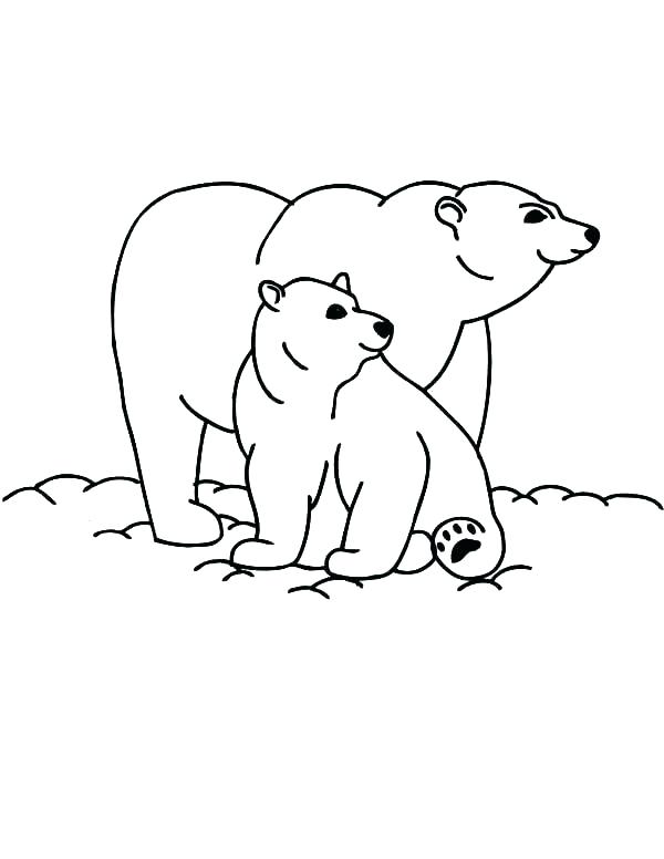 600x776 Hibernating Bear Coloring Page Brown Bear What Do You See Coloring