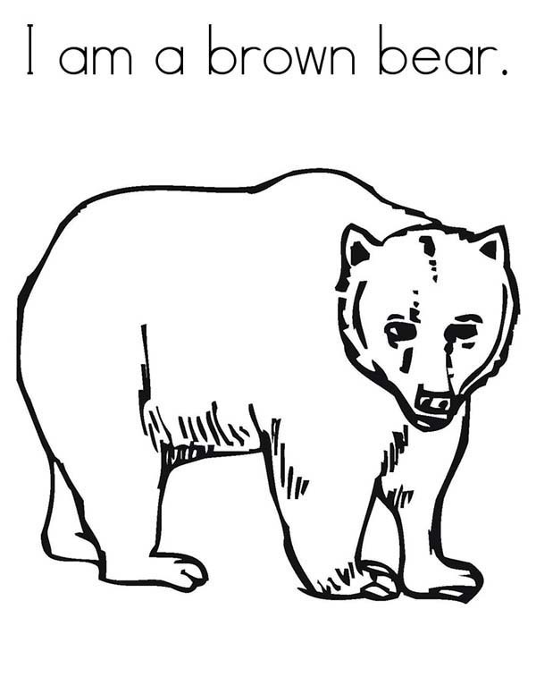 600x776 Brown Bear Coloring Sheet Fascinating Brown Bear Coloring Pages 16