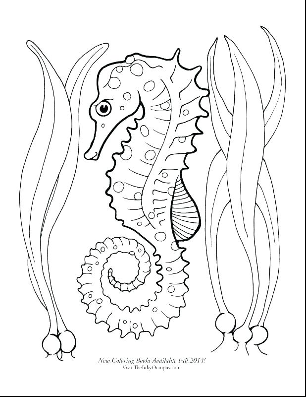 618x800 Brown Bear Coloring Pages Bear Coloring Pages Preschool Brown Bear