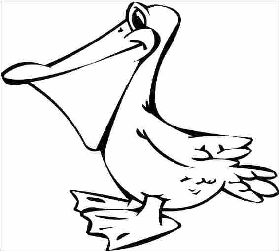 566x508 Pelican Animal Coloring Pages Coloring Page Coloring Ideas