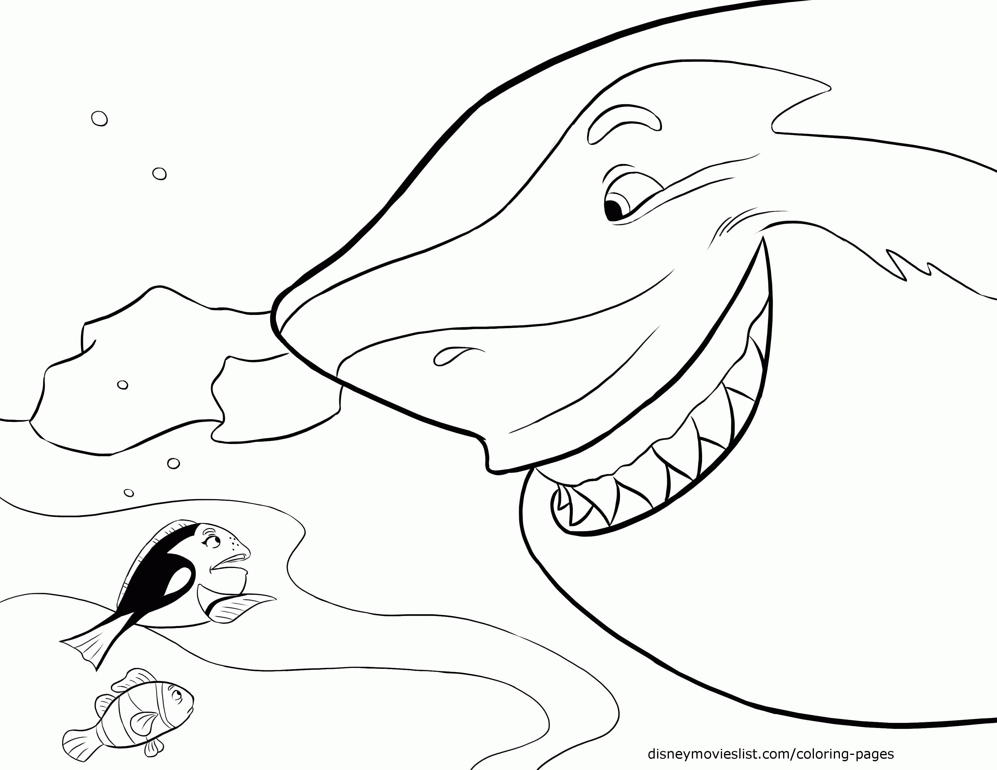 3300x2550 Last Chance Nemo Coloring Pages Online Bruce From Finding