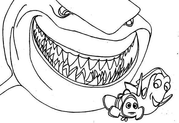 600x412 Bruce The Shark Coloring Pages