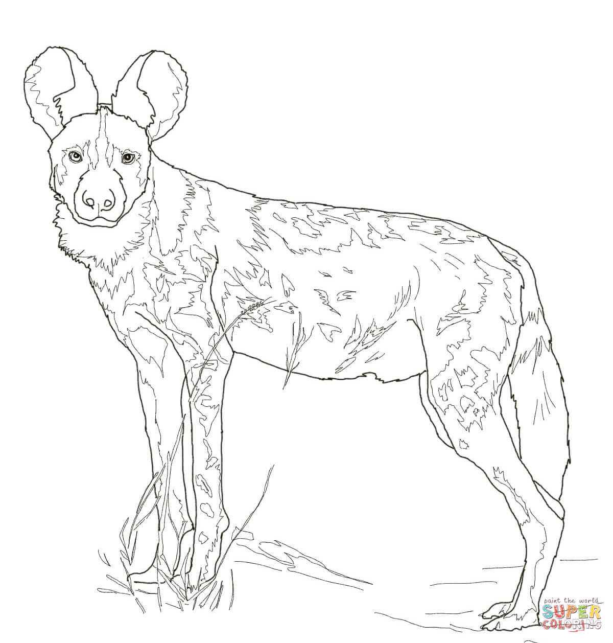 1200x1258 African Wild Dog Drawing African Wild Dog Coloring Page Free