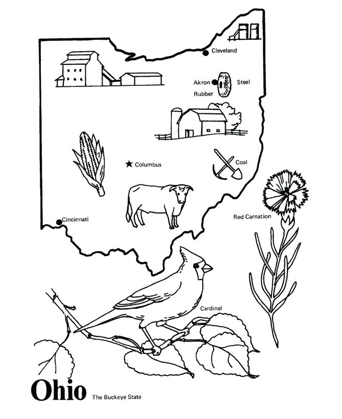 670x820 Free Brutus Buckeye Coloring Page State Shared By Fuhrer Von