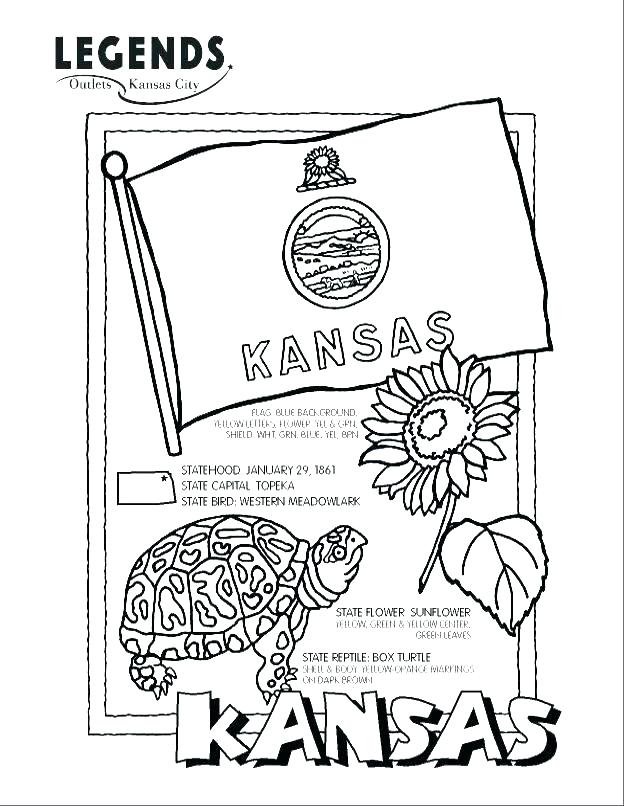 624x806 Ohio State Brutus Coloring Pages Colouring Buckeyes Tree C