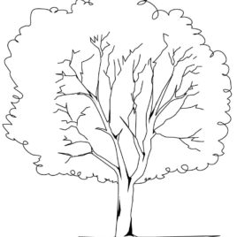 268x268 Brutus Buckeye Coloring Page Google Twit Buckeye Leaf Coloring