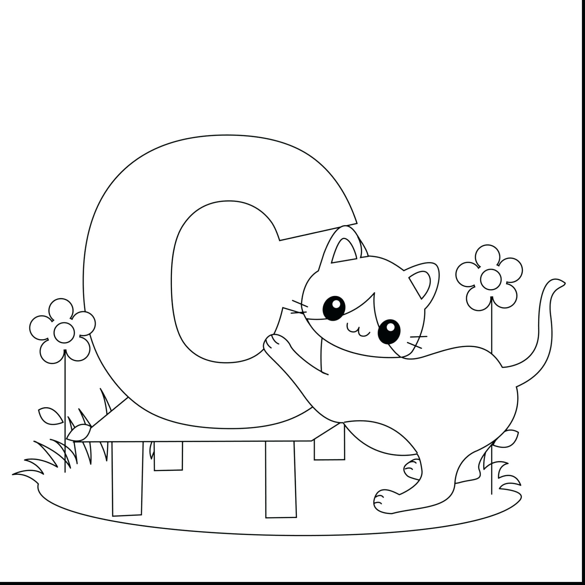 1905x1905 New Bubble Bath Coloring Page Count Them Up How Many Bubbles Can