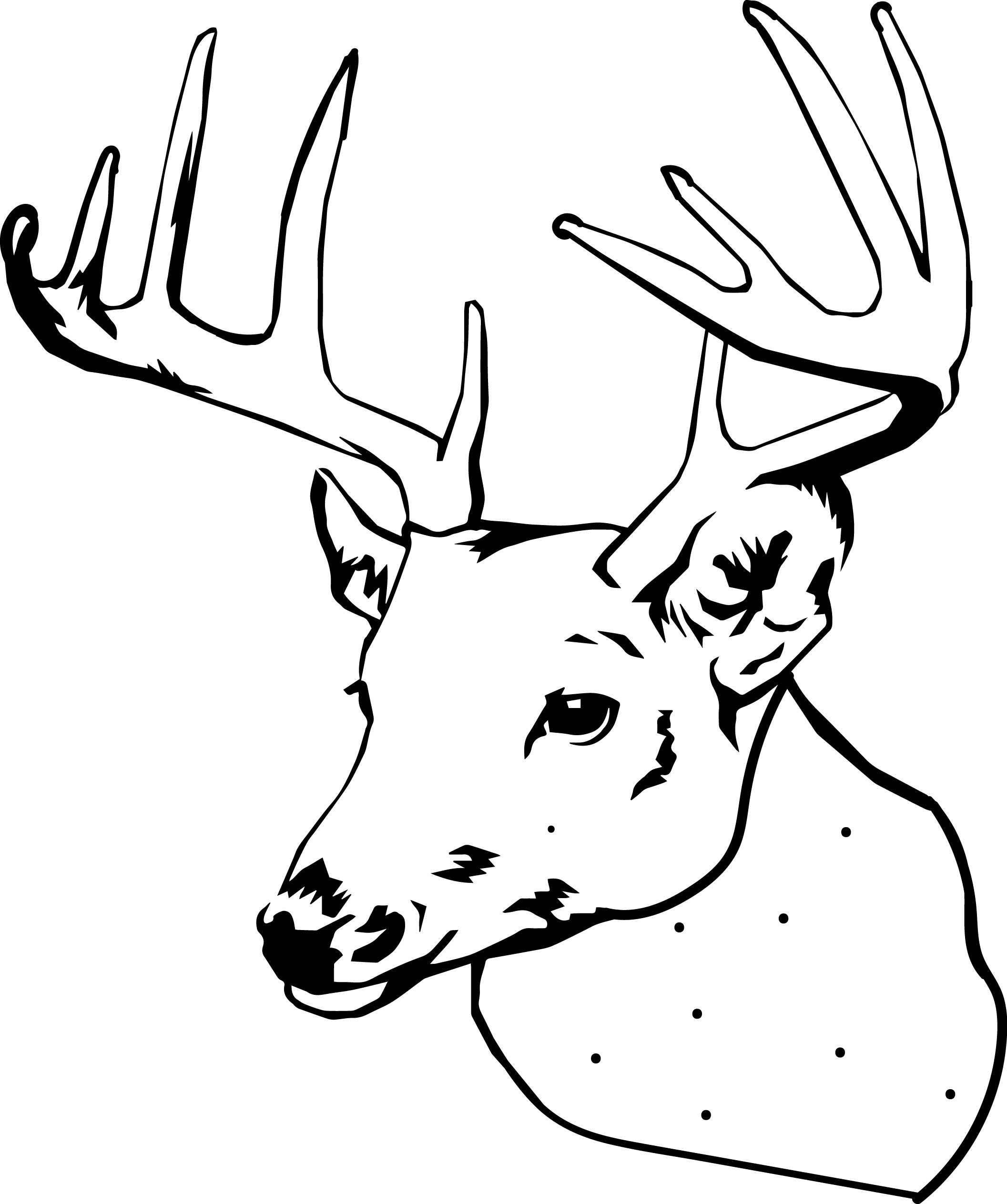 2113x2527 Spotted Deer Coloring Page 01 Pages