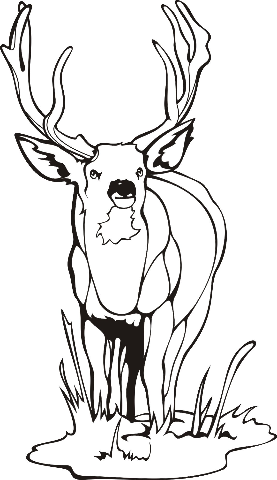 1145x1983 Appealing Baby Spotted Deer Coloring Page Wecoloringpage Picture