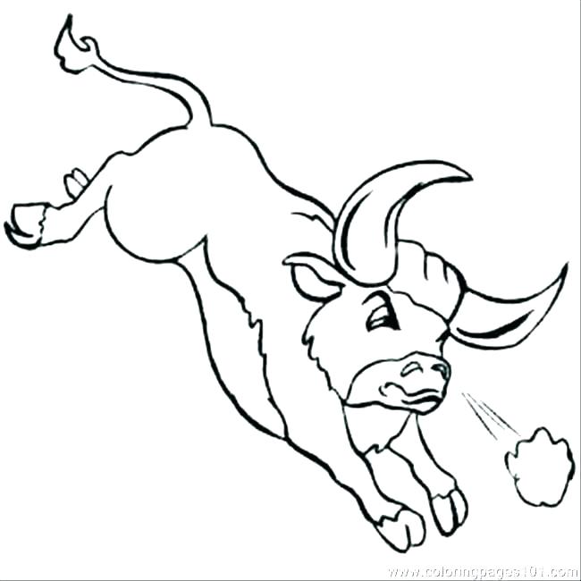 650x650 Coloring Pages Of Bulls Bulls Bucking Bull Mammals Coloring Pages
