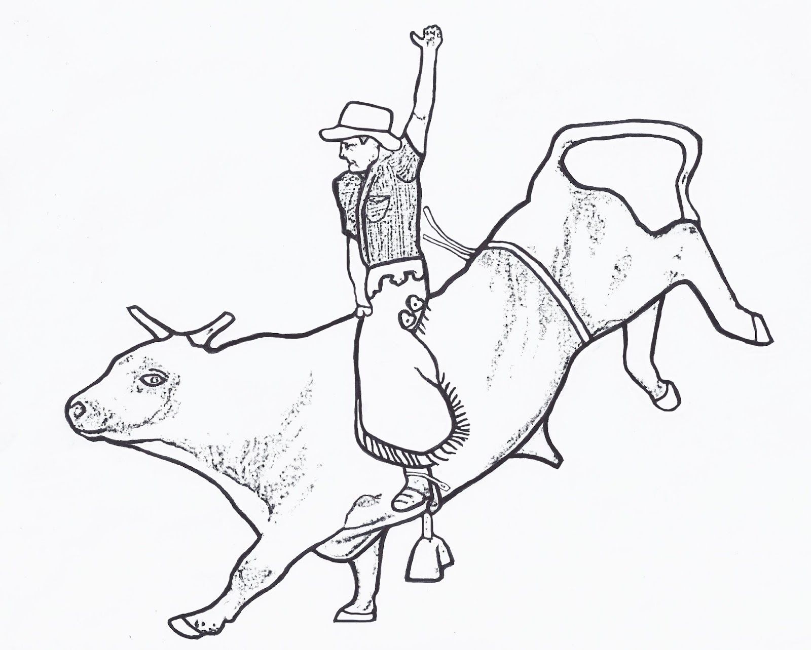 1600x1284 Informative Bucking Bull Coloring Pages 17052 1024 1044