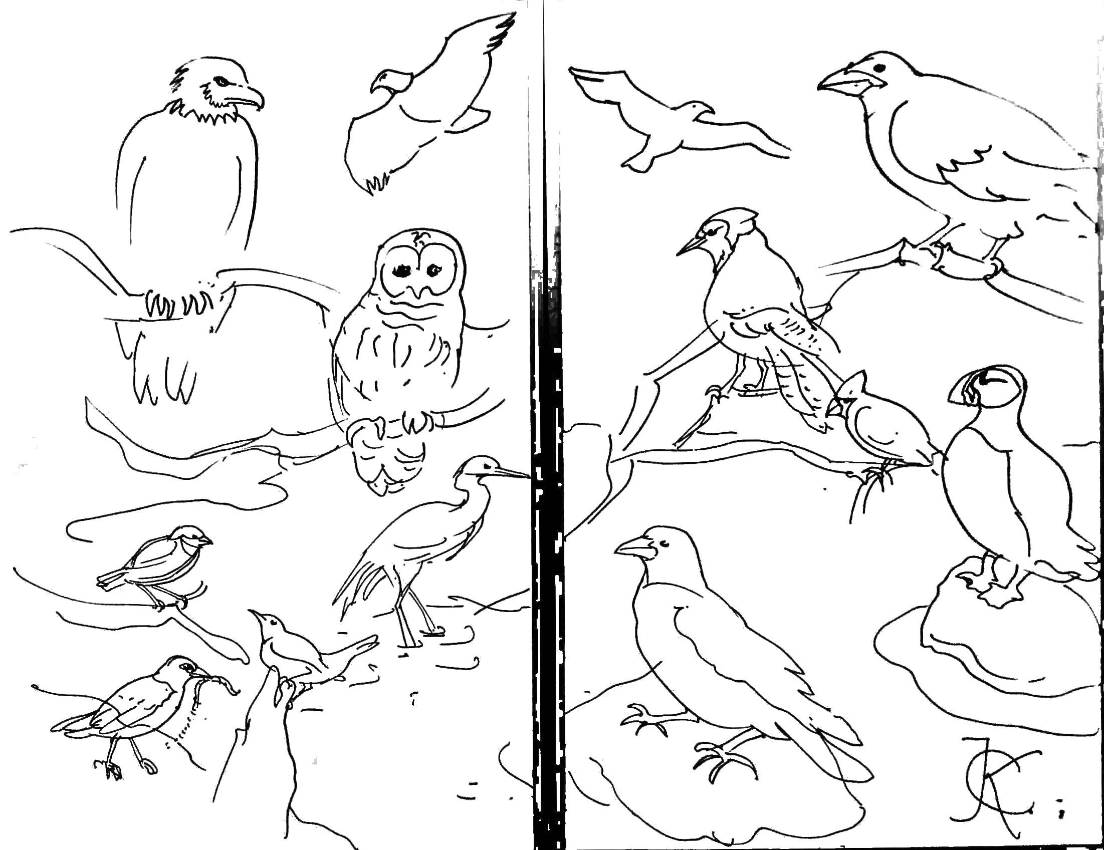 2203x1697 Last Minute Seashore Coloring Pages Free Print