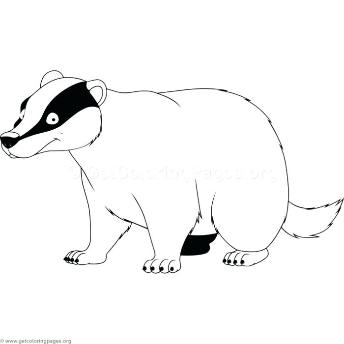 700x700 Badger Coloring Pages Badger Coloring Pages Bucky Badger Coloring