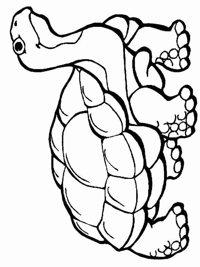 650x867 Information On Being In The Now A Colouring Book Which Contains