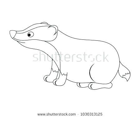 450x380 Badger Coloring Page Bucky Badger Coloring Pages
