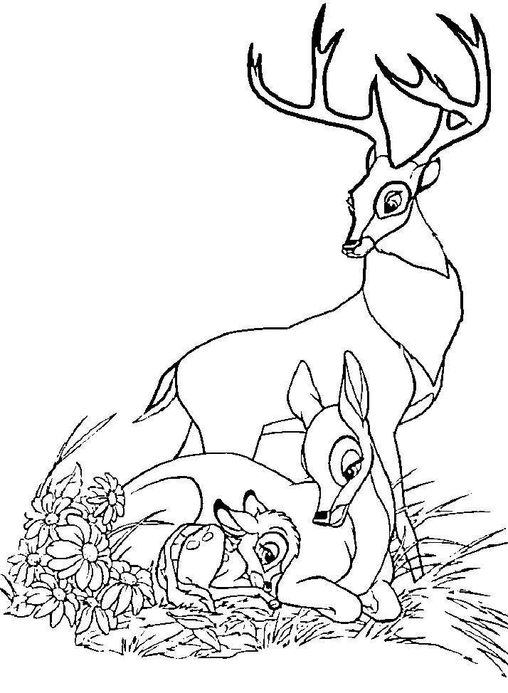 714x974 Impressive Buddy The Elf Coloring Pages Almost Inspiration Article