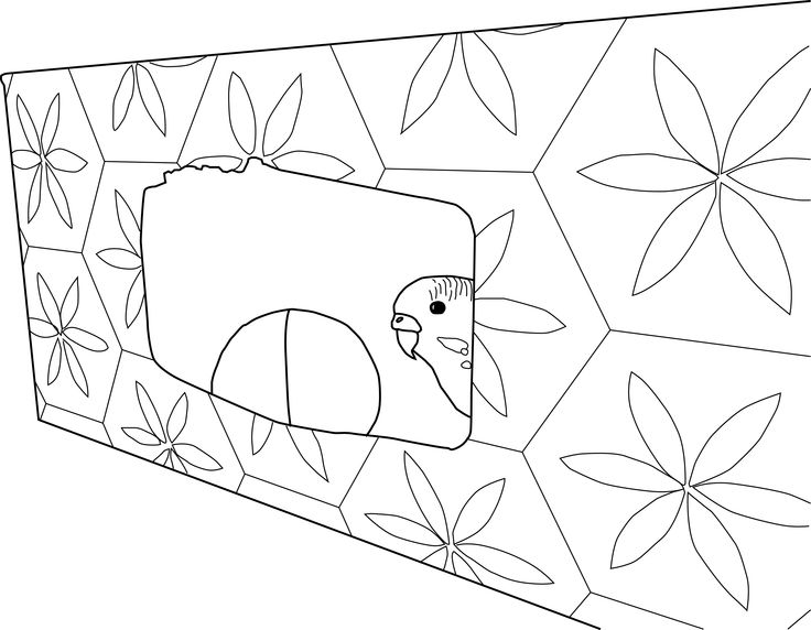 Budgie Coloring Pages