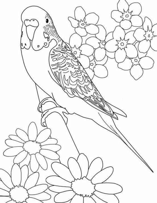 552x713 Done