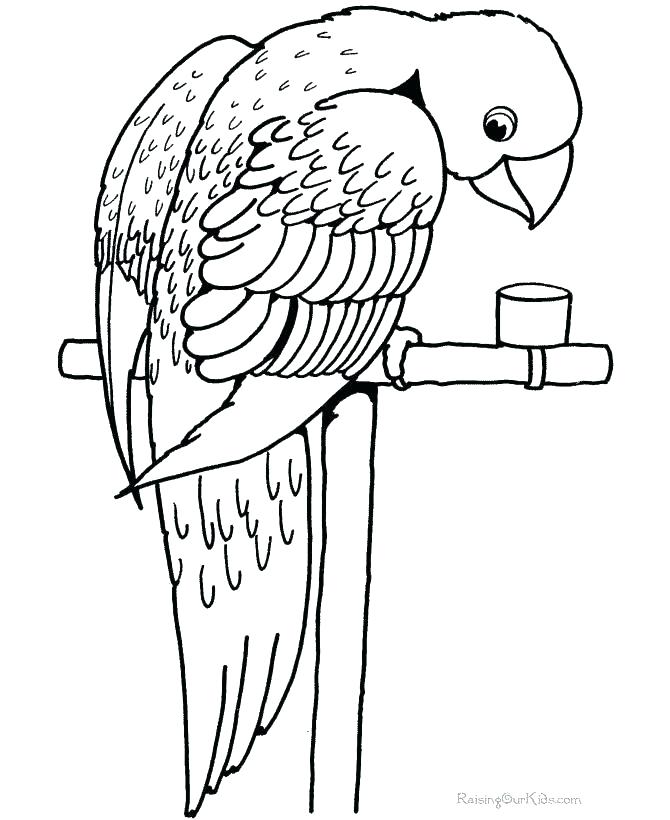 670x820 Macaw Coloring Page Ing Mcw Nd Mcw Ing S Flying Macaw Coloring