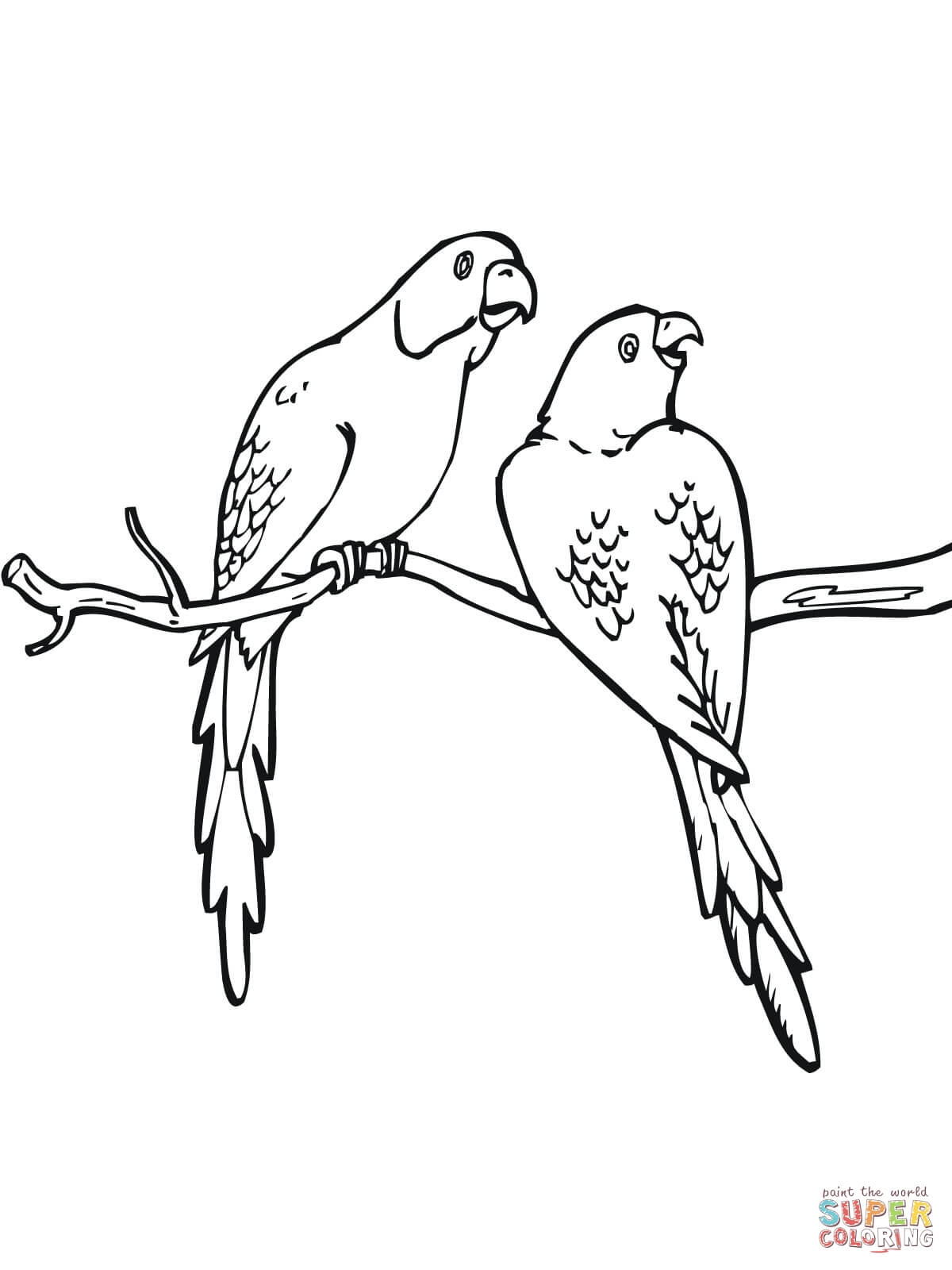 1200x1600 New Parakeet Coloring Pages Design Printable Coloring Sheet