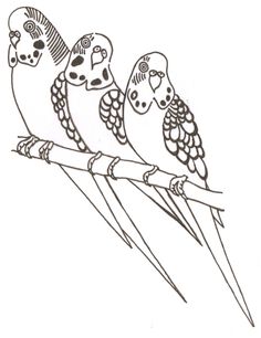 236x306 Parakeet Coloring Pages Parakeet Parakeets And Budgies