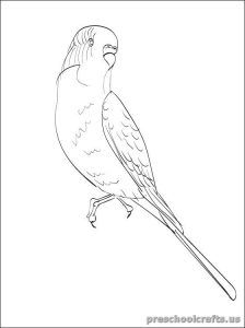 224x300 Swallow Printable Coloring Pages For Kid Swallow Coloring Pages