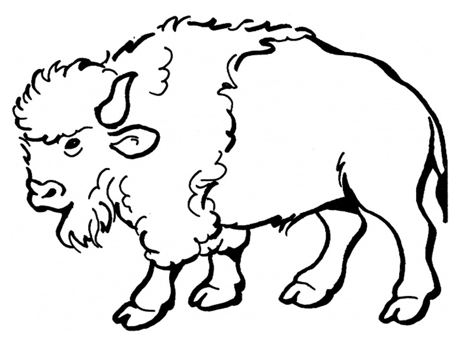 1600x1200 Free Printable Bison Coloring Pages For Kids Easy Art, Rustic