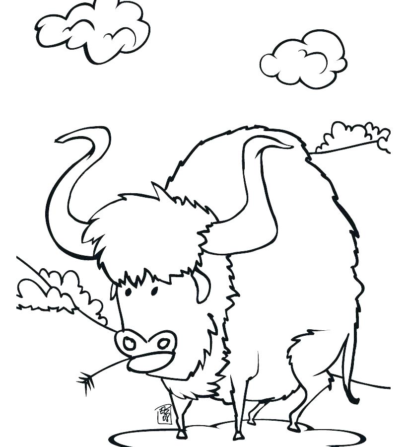 820x900 Buffalo Coloring Page Buffalo Coloring Page Bison Coloring Pages