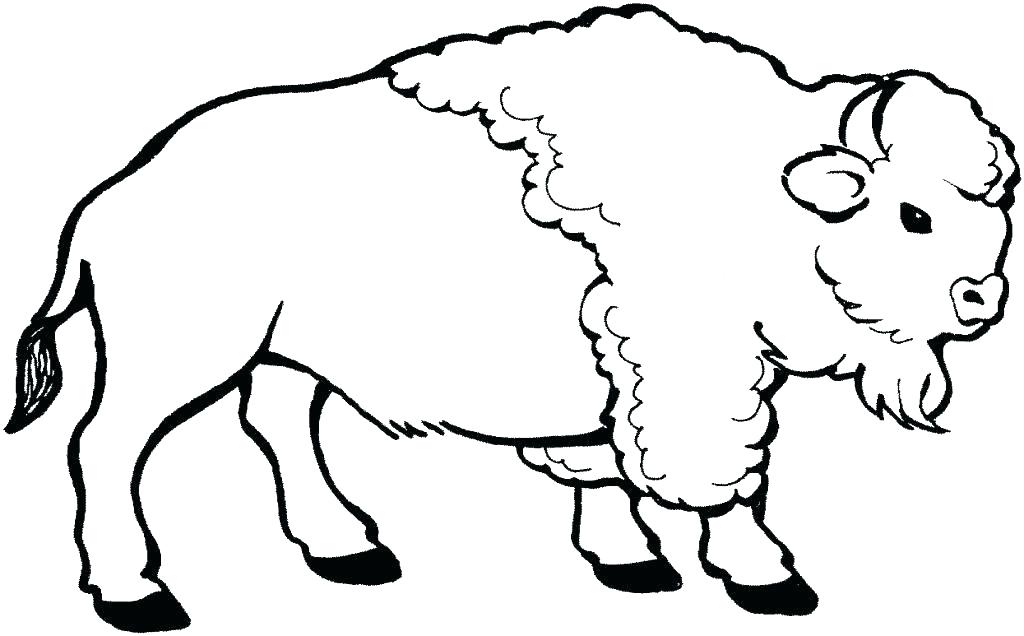 1024x636 Buffalo Coloring Page Buffalo Coloring Page Buffalo Coloring Pages