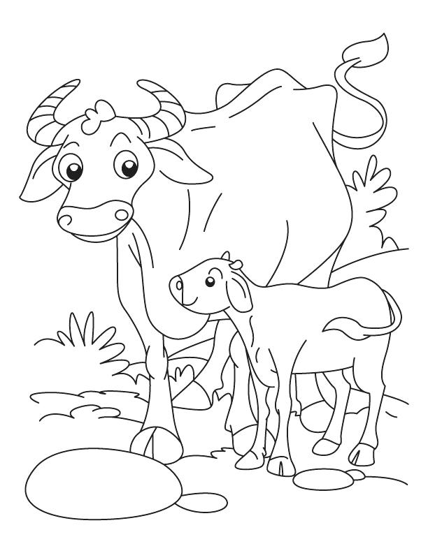 612x792 Buffalo Coloring Page Native Coloring Pages Printable Buffalo