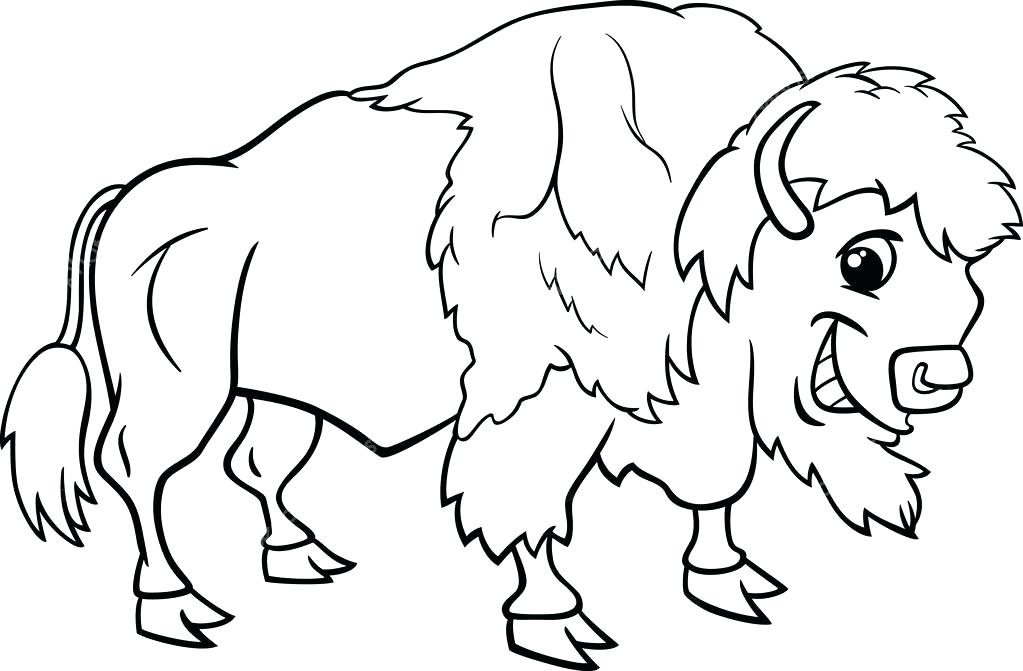 1023x671 Buffalo Sabres Coloring Pages Water Buffalo Coloring Pages