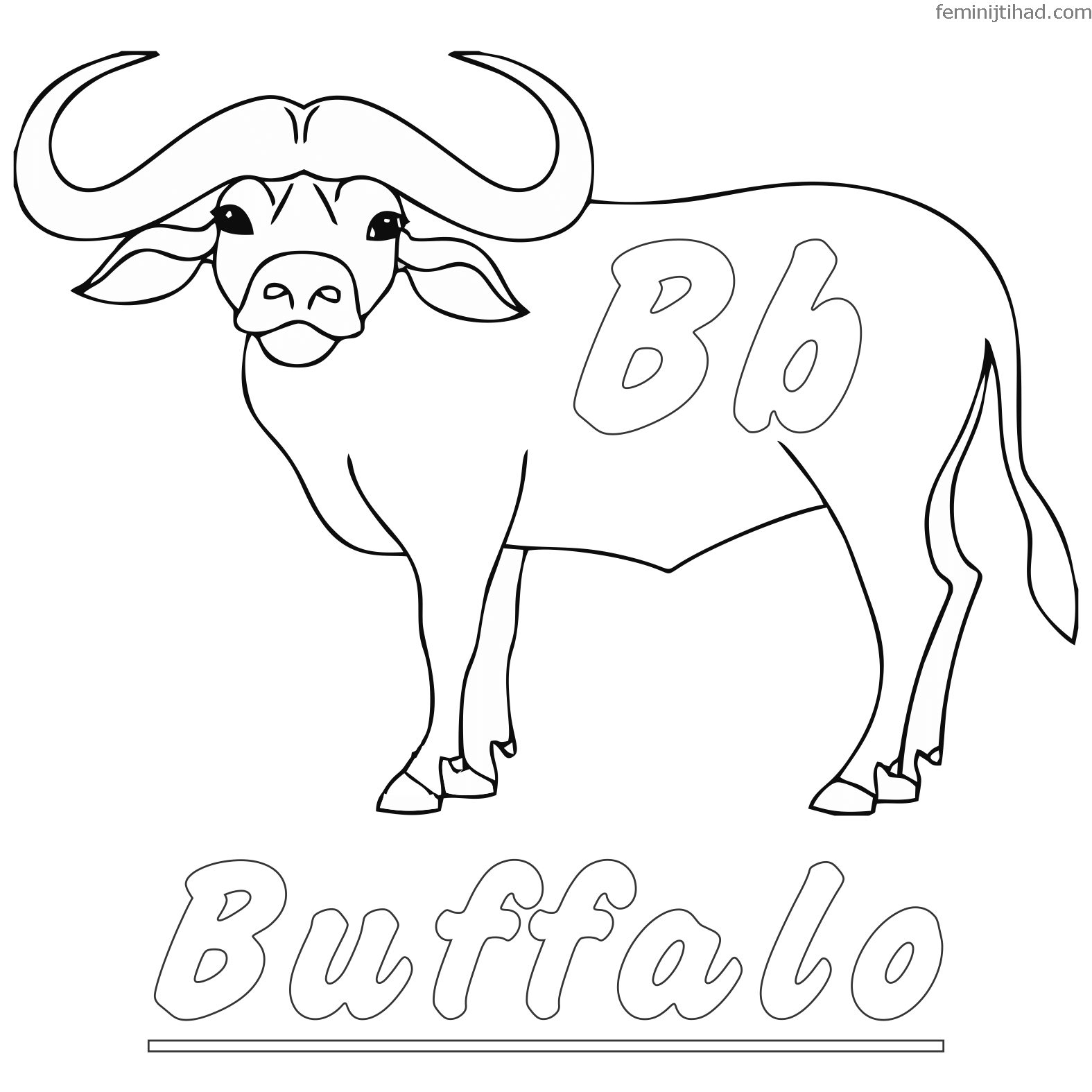 1575x1575 Free Buffalo Coloring Pages To Print Coloring Pages For Kids
