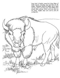 236x308 Native American Activity Sheets For Kids Page Sheets Native